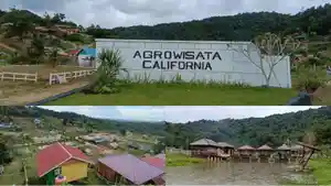 Agrowisata-California-terletak-di-Desa-Cialam-Konda-Konawe-Selatan.jpg