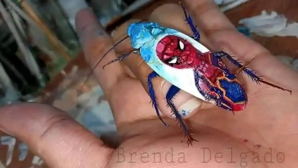 Seniman Ubah Kecoa Mati Jadi Karya Seni Mini, Anda Berminat?