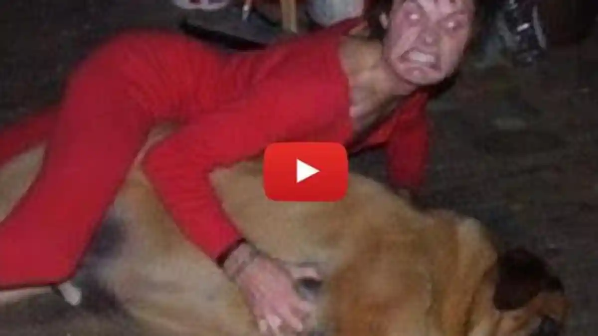 Beredar Video di WhatsApp, Pria Perkosa Anjing! Ada Hadiah Untuk Yang Bisa Menangkap Pelaku