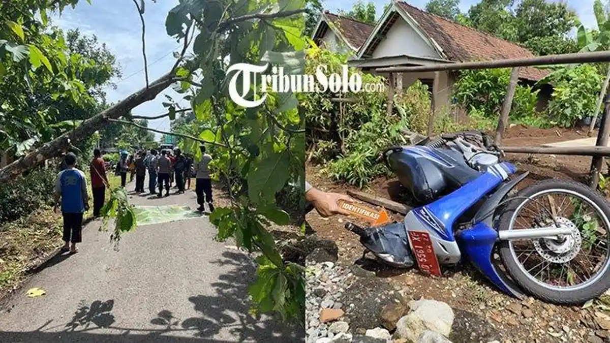 Kecelakaan di Wonogiri, Pemotor Asal Sukoharjo Tewas Tertimpa Pohon Tumbang
