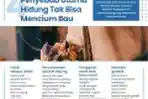 Infografis Penyebab Utama Hidung Tak Bisa Mencium Bau