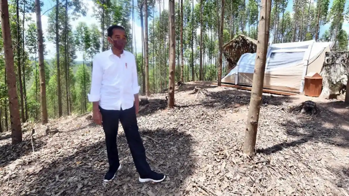 Presiden Jokowi Batal Berkantor di IKN Nusantara, Terungkap Inilah Penyebabnya