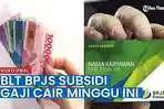 cara-cek-status-penerima-blt-bpjs-ketenagakerjaan.jpg