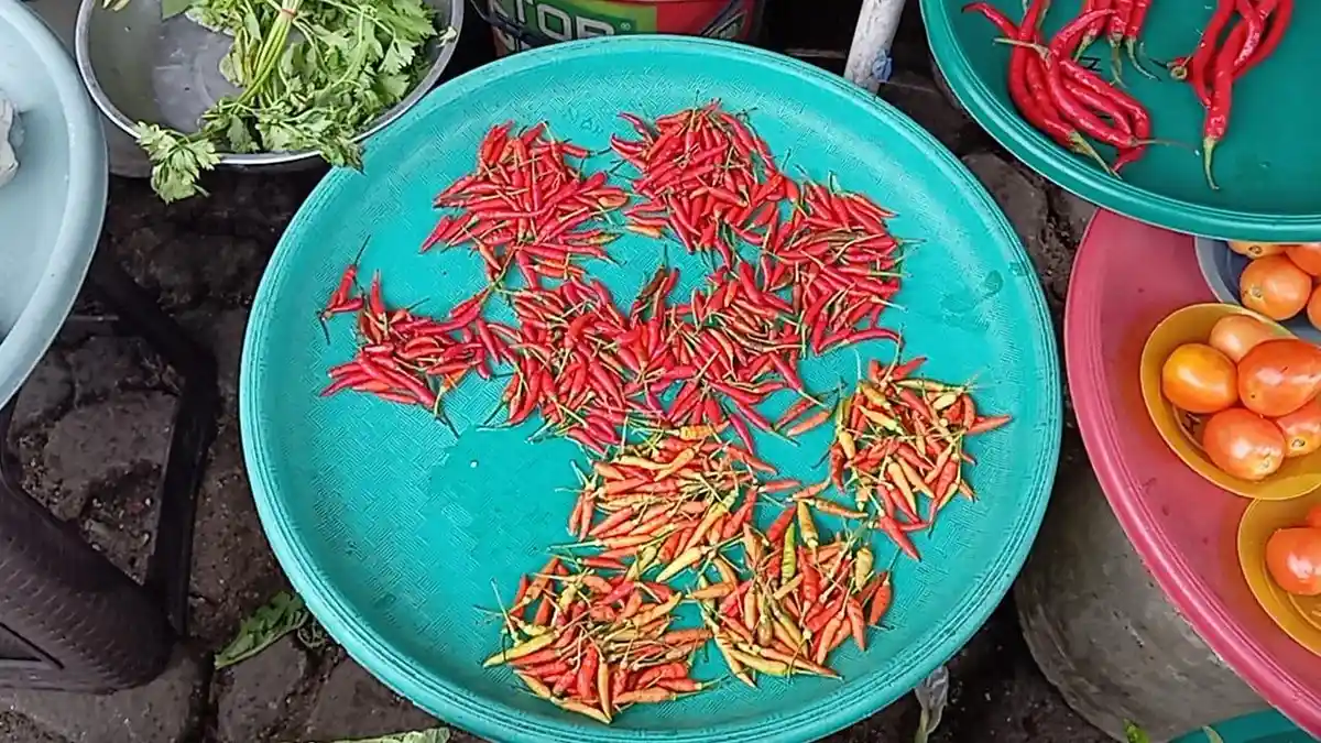 Tak Kunjung Turun, Harga Cabai di Pasar Langgur Tembus Rp. 150 ribu