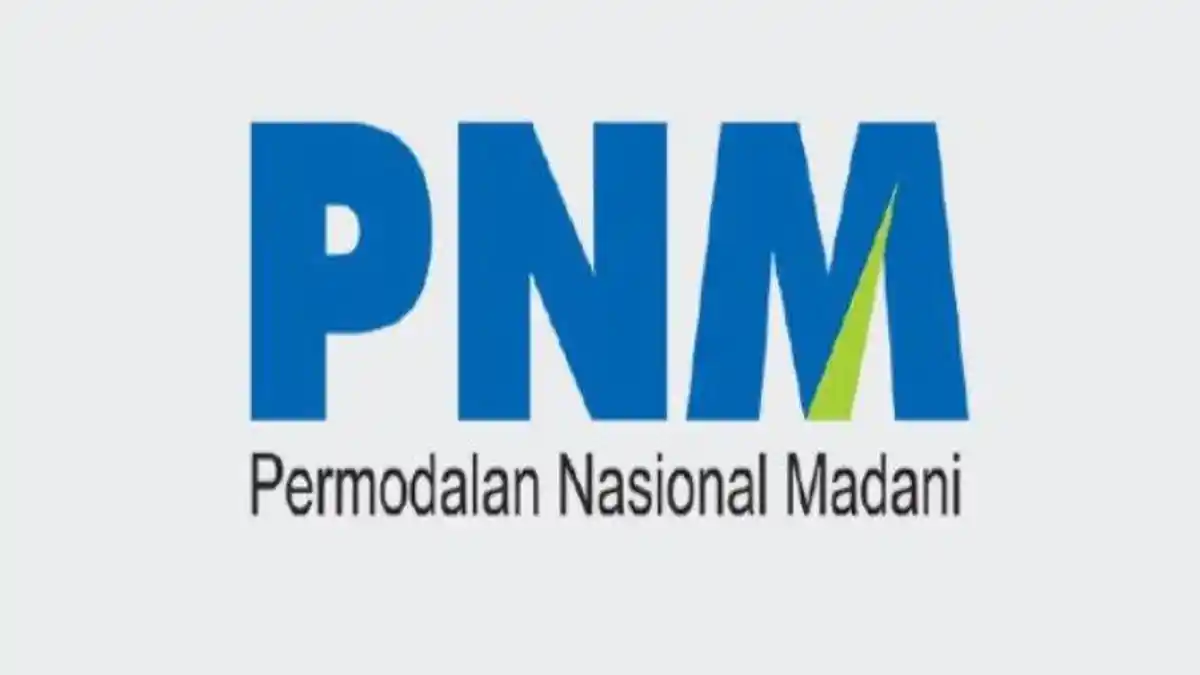 Lowongan Kerja BUMN PT Permodalan Nasional Madani Posisi Programmer, Cek Syaratnya