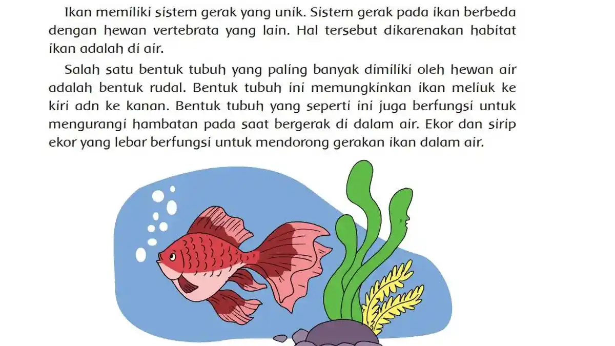 Kunci Jawaban Tema 1 Kelas 5 Halaman 17 - 18, Ayo Membaca: Gerak Ikan Dalam Air