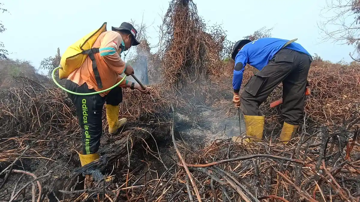 Gambut Petung Sulit Padam, Karhutla PPU Butuh Waktu Ekstra
