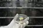 Peneliti Melakukan Riset di Laboratorium Riset Stem Cell