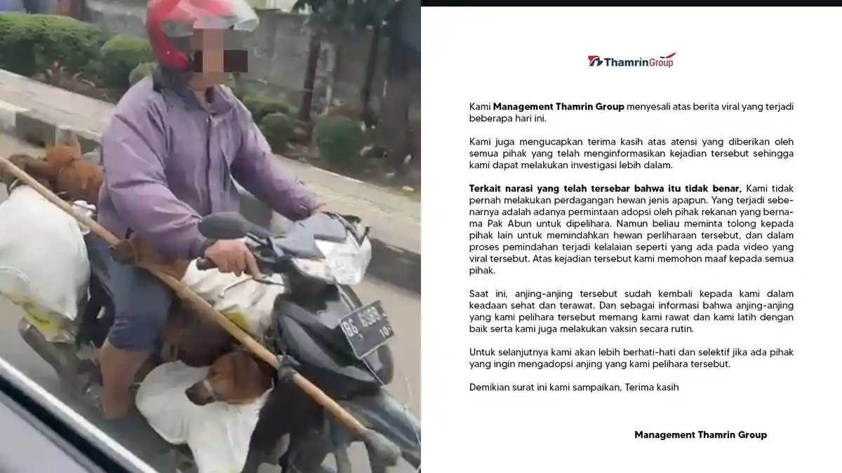 Anjing Dibawa Pakai Karung Hendak Diadopsi Thamrin Group, Pecinta Hewan Sebut Laporan Tetap Jalan