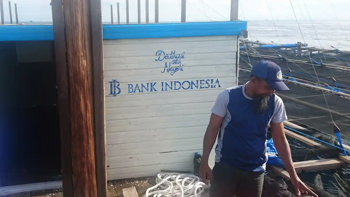 Hiu Tutul akan Mendekat ke Bagan Apung di Perairan Derawan dan Memikat Wisatawan Asing