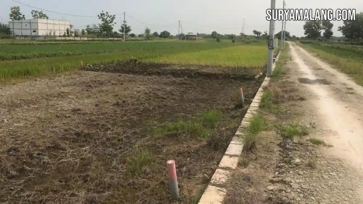 Lahan Kavling Tetap Laris Padahal di Bawah Permukaan Air Anak Kali Lamong, Gresik