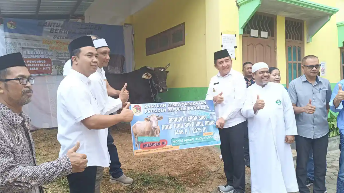 Serahkan Sapi Kurban Presiden di Masjid Hidayatullah Atambua, Bupati Belu: Terima Kasih Pak Prabowo