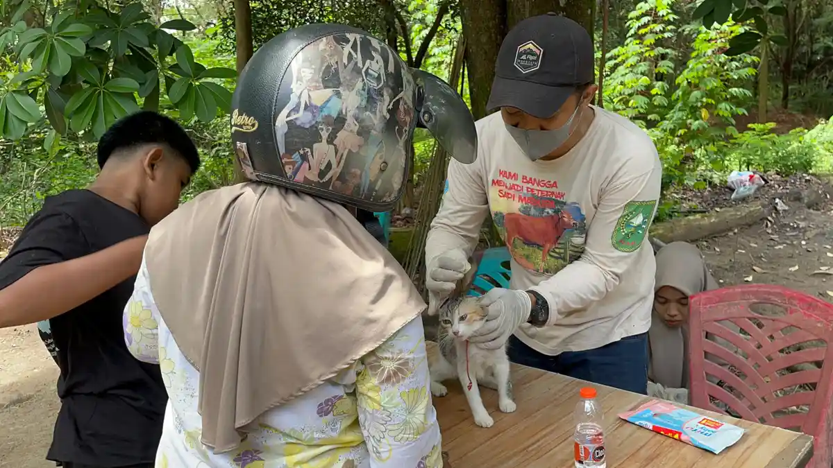 Dinkes Bengkalis Pastikan Tak Ada Penularan Rabies ke Manusia di Bengkalis