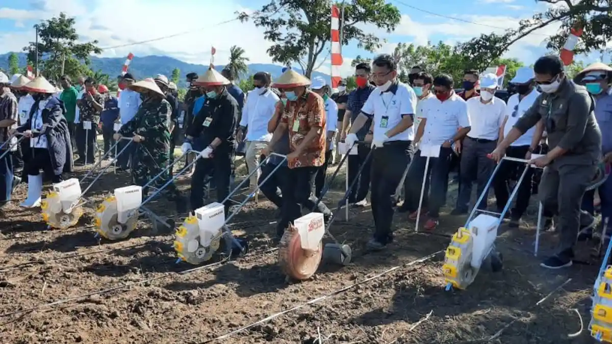 Menteri Pertanian Sambangi Sulut, Panen Jagung Sekaligus Tanam Kedelai dan Kelapa