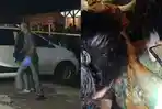 Penemuan-jenazah-seorang-pria-yang-dilakban-di-dalam-mobil.jpg