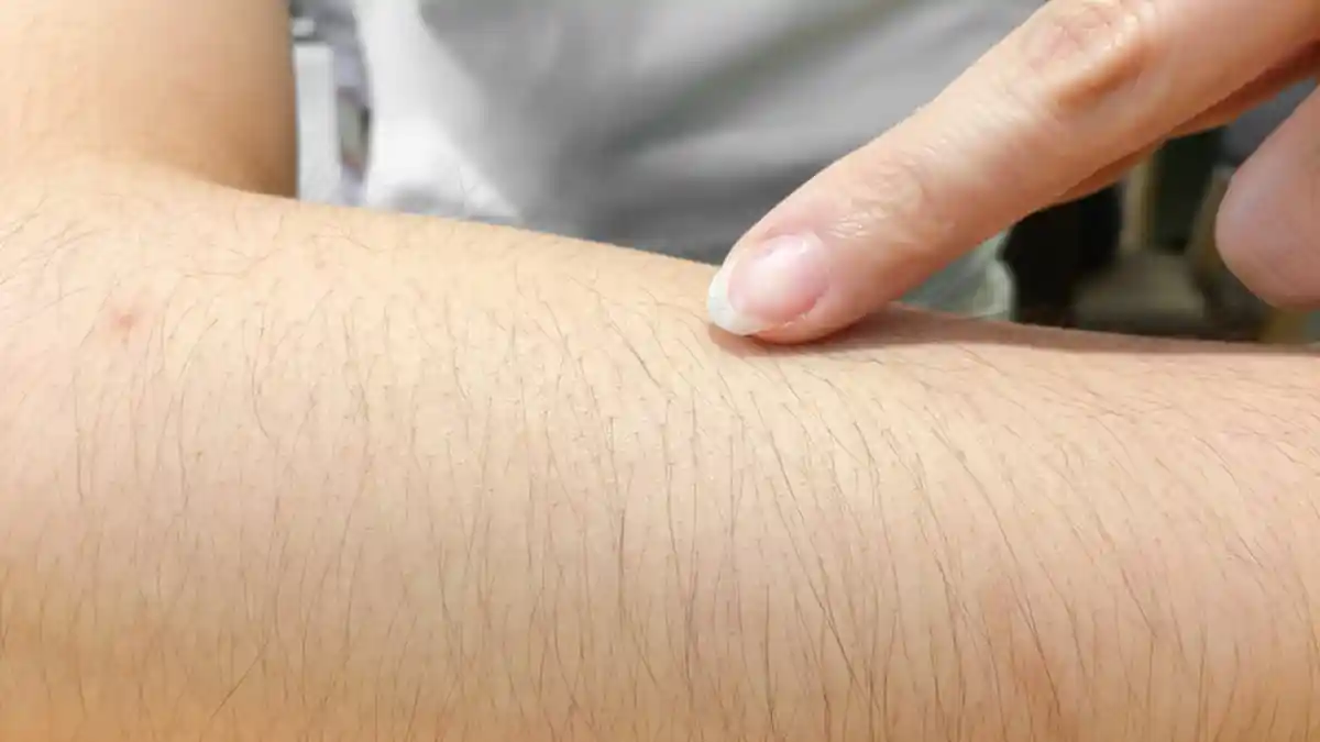 Ini Keistimewaan Cewek yang Memiliki Bulu Lebat, Bernafsu Tinggi dan Jago di Ranjang?