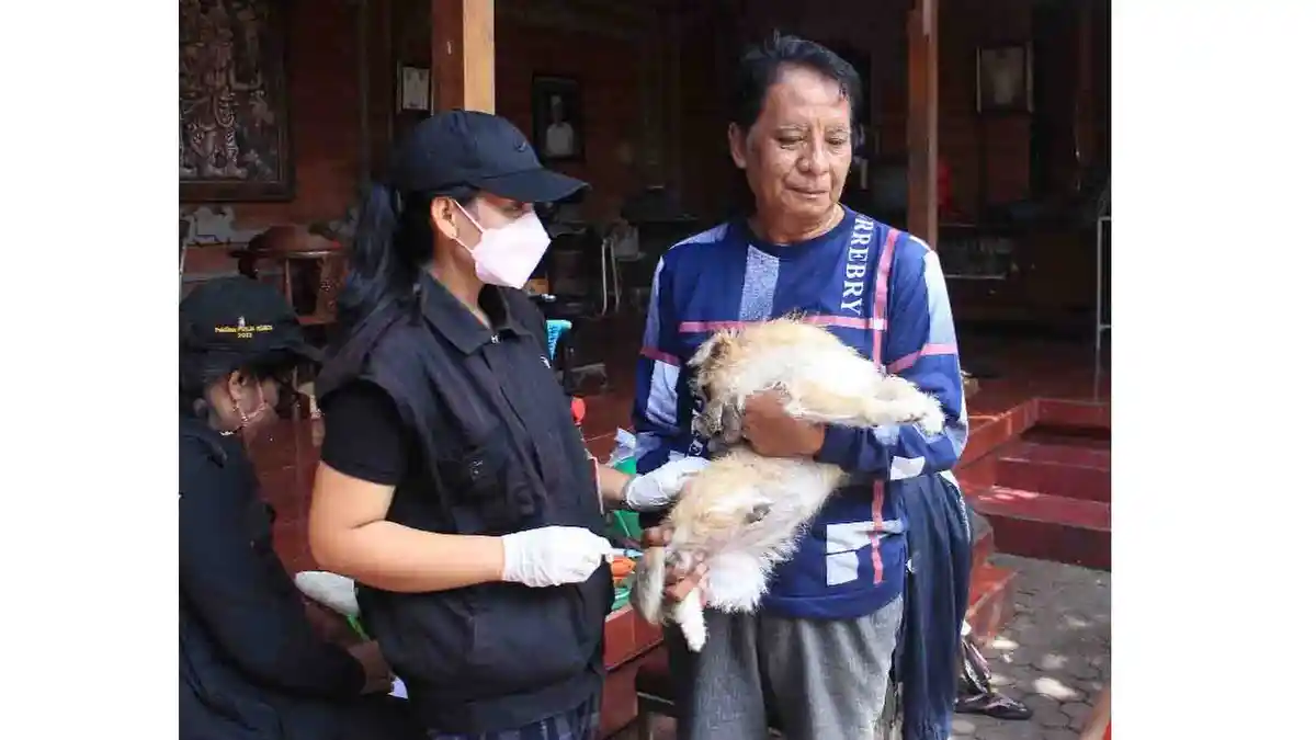 Distan Kota Denpasar Buka Layanan Vaksin Rabies Gratis 52 Ribu Dosis, Cukup Telfon ke Nomor Ini