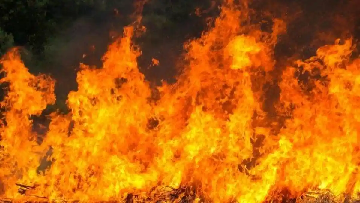 Paket-paket Pelanggan Hangus Terbakar, Pihak JNE Ternate Siap Ganti Rugi