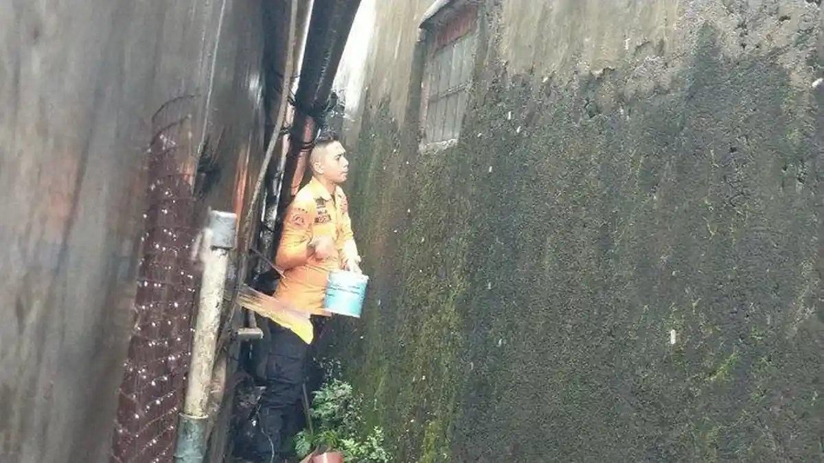 HEBOH Kumpulan Ulat Bulu Teror Warga di Bogor: Mau Tidur Ternyata Ada di Baju
