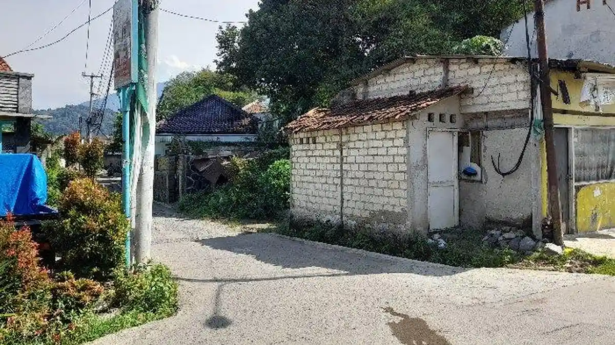 Setiap Malam Kuntilanak Kumpul di Pohon Bambu, Kerjai Warga yang Melintas, Kisah Seram Jalan Kunti