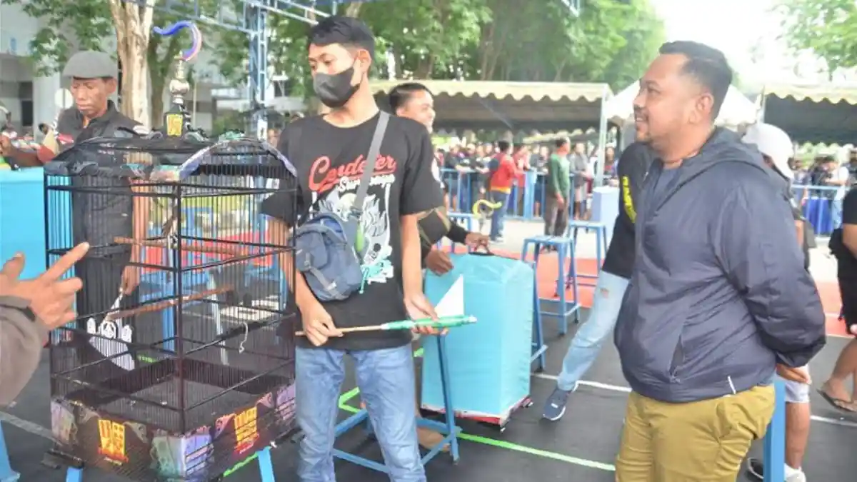 Kicau Mania Bupati Cup I Gresik, Antusias Peserta dari Luar Kota Turut Meramaikan