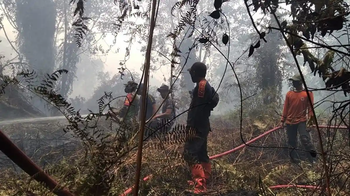 Kebakaran Meluas, Bupati Tetapkan Status Siaga Darurat Karhutla di Aceh Selatan Selama 60 Hari