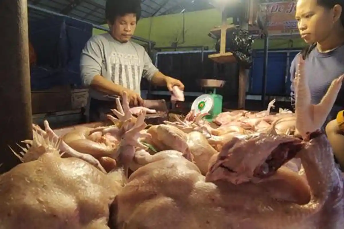 Update Beberapa Bahan Pokok di Pasar Anso Duo Jambi, Dari Cabai Hingga Jengkol