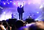 The Cardigans