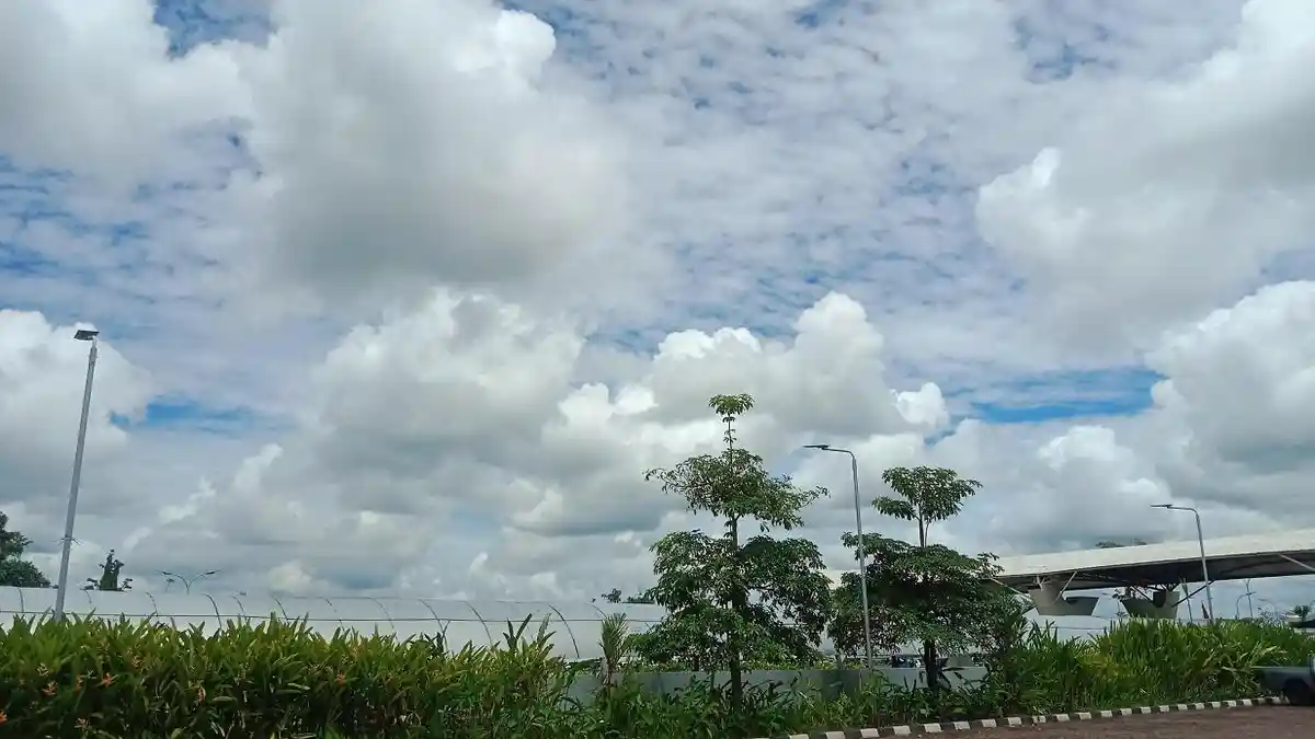 BMKG Prediksi 18 Distrik di Mimika Cerah Berawan Hari Ini