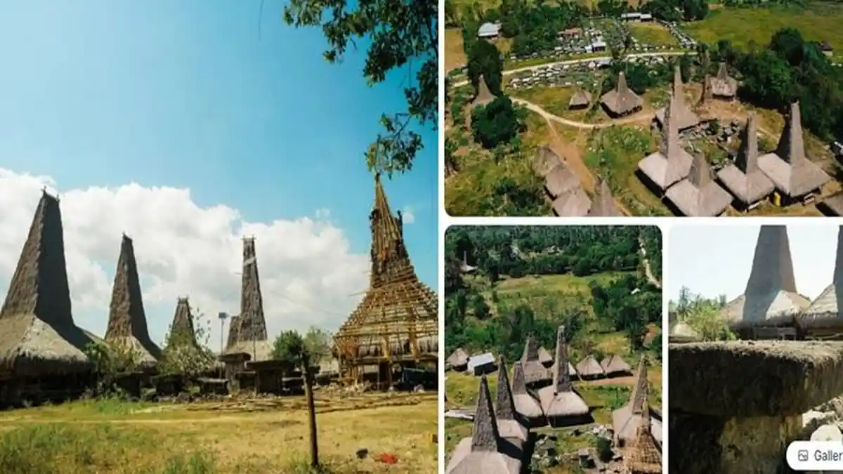 Pesona Kampung Adat Parona Baroro, Lokasi Upacara Pasola di Sumba Barat ...