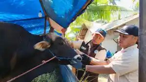 pengawasanpengawasansasnasan.jpg