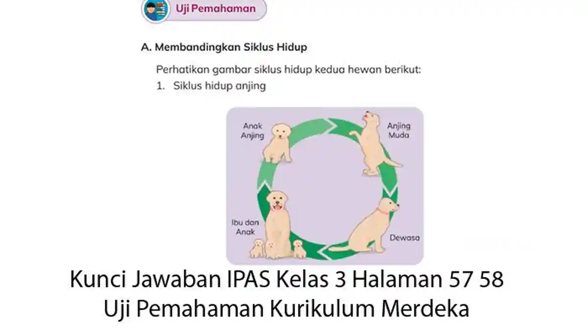 Kunci Jawaban IPAS Kelas 3 Halaman 57 58 Uji Pemahaman Kurikulum Merdeka