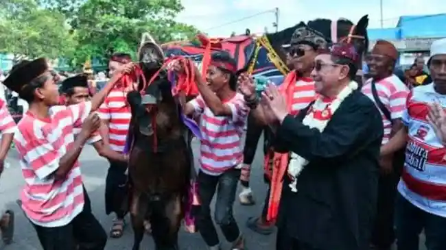 Tribun