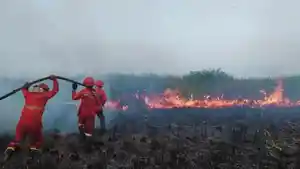 394-Karhutla-di-Sumsel-Terjadi-Hingga-31-Agustus-2025-Tertinggi-di-Ogan-Ilir.jpg