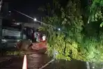 pohontumbangpalembang.jpg
