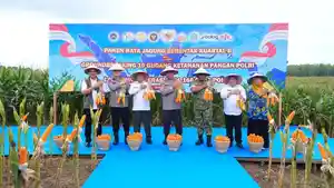 panen-raya-dilaksanakan-thgf.jpg
