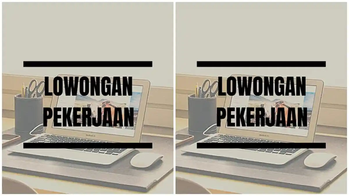 Dibutuhkan Staf Infrastruktur dan Admin Operasional, Cek Info Terbaru Lowongan Kerja Kaltim