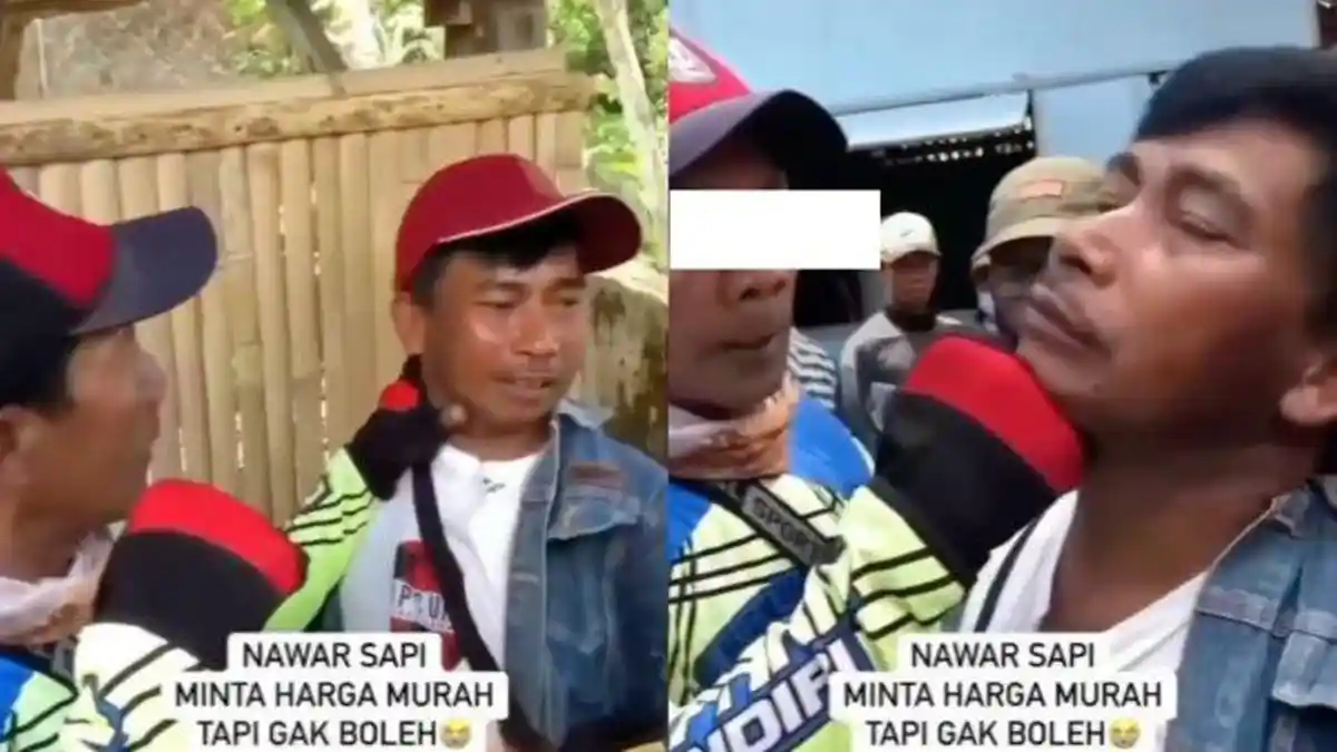 Viral Penjual Sapi yang Dikeroyok-Nyaris Ditonjok Sejumlah Lelaki, Makelar Tawar dengan Harga Murah