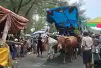Menikmati Lebaran Ketupat di Atas Pegon Menuju Pantai Watu Ulo Jember