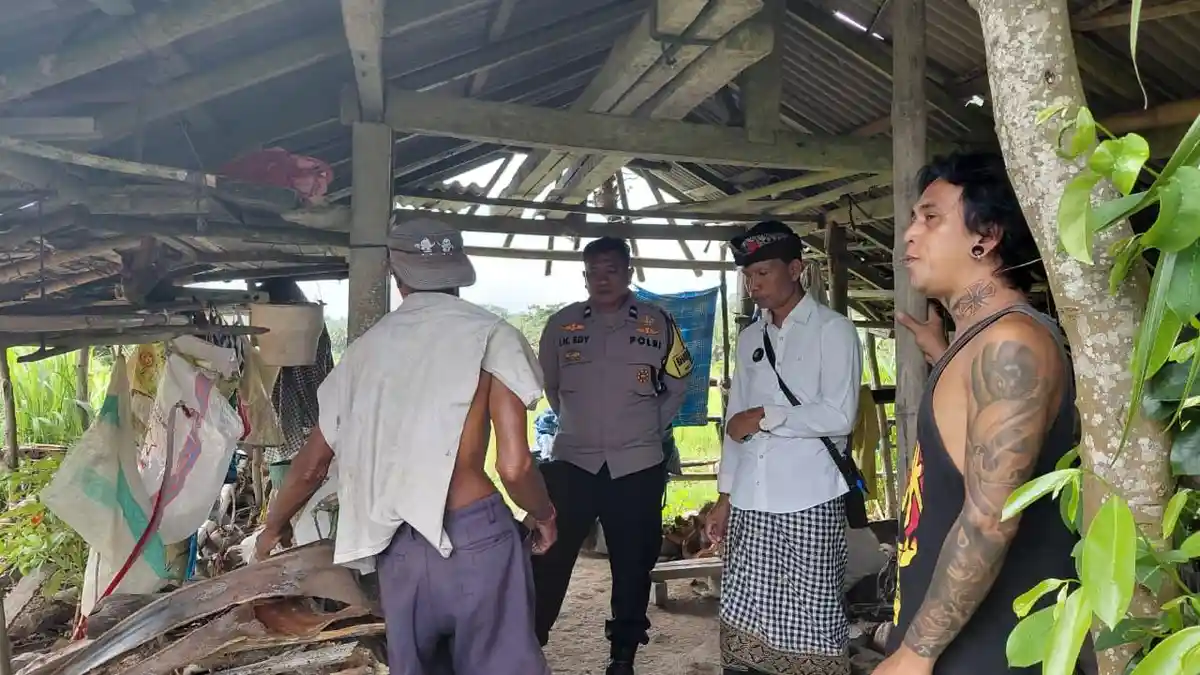 MALING Gabah & Ternak Petani Bikin Warga Banjarangkan Resah!