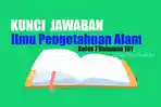 Kunci-Jawaban-Soal-IPA-Kelas-7-Halaman-161-Kurikulum-Merdeka-Bab-5.jpg