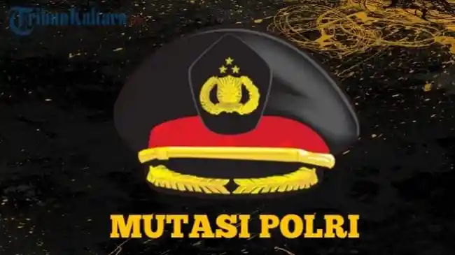 Tribun