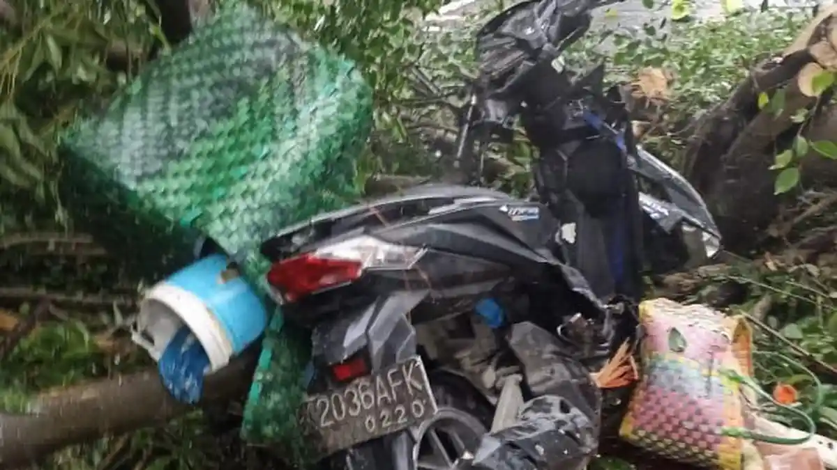 Hujan Deras, Seorang Pengendara Motor Tewas Tertimpa Pohon di Jalan Imam Bonjol Medan