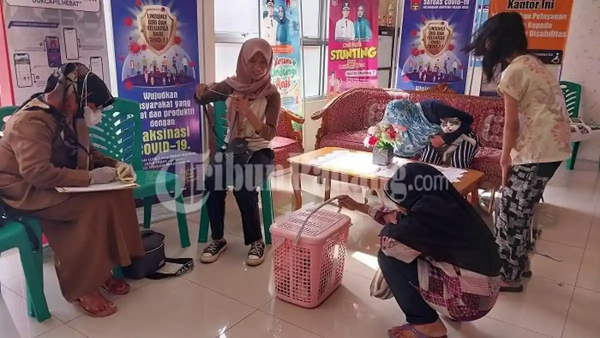 Banyak Orang Digigit Anjing di Bukittinggi Selama 2023, Warga Diimbau Vaksin Rabies Hewan Peliharaan