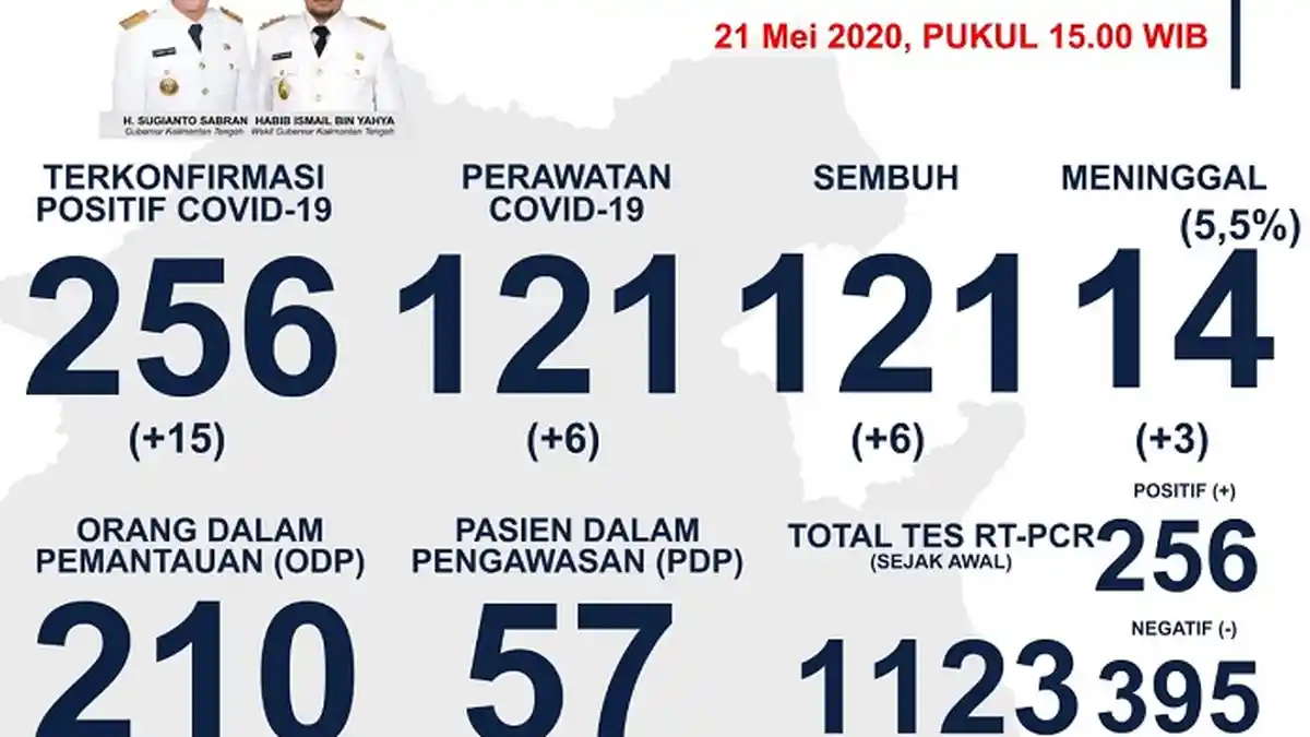 Melonjak 15 Orang, Positif Covid-19 Kalteng Kini 256 Kasus, Kapuas Terbanyak