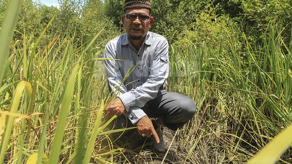 Menemukan Masjid Kerajaan hingga Merusak Kawasan Inti Situs (2)