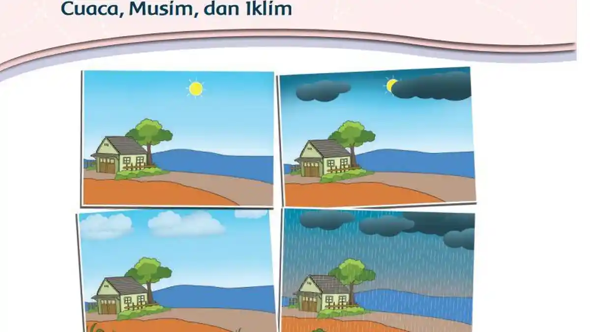 Kunci Jawaban Tema 5 Kelas 3 SD Halaman 177 184 193 Subtema 4 Pembelajaran 1-2: Cuaca, Musim, Iklim