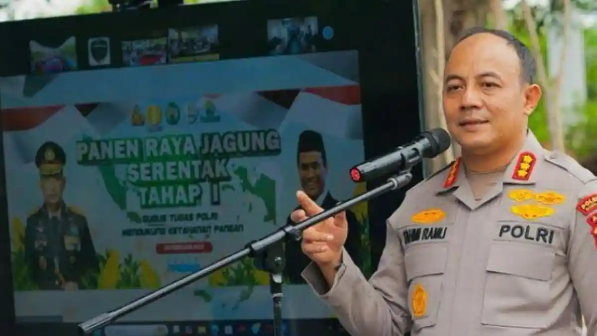 Program Ketahanan Pangan Makin Gencar, Kapolresta Banda Aceh Panen Jagung di Kuta Alam