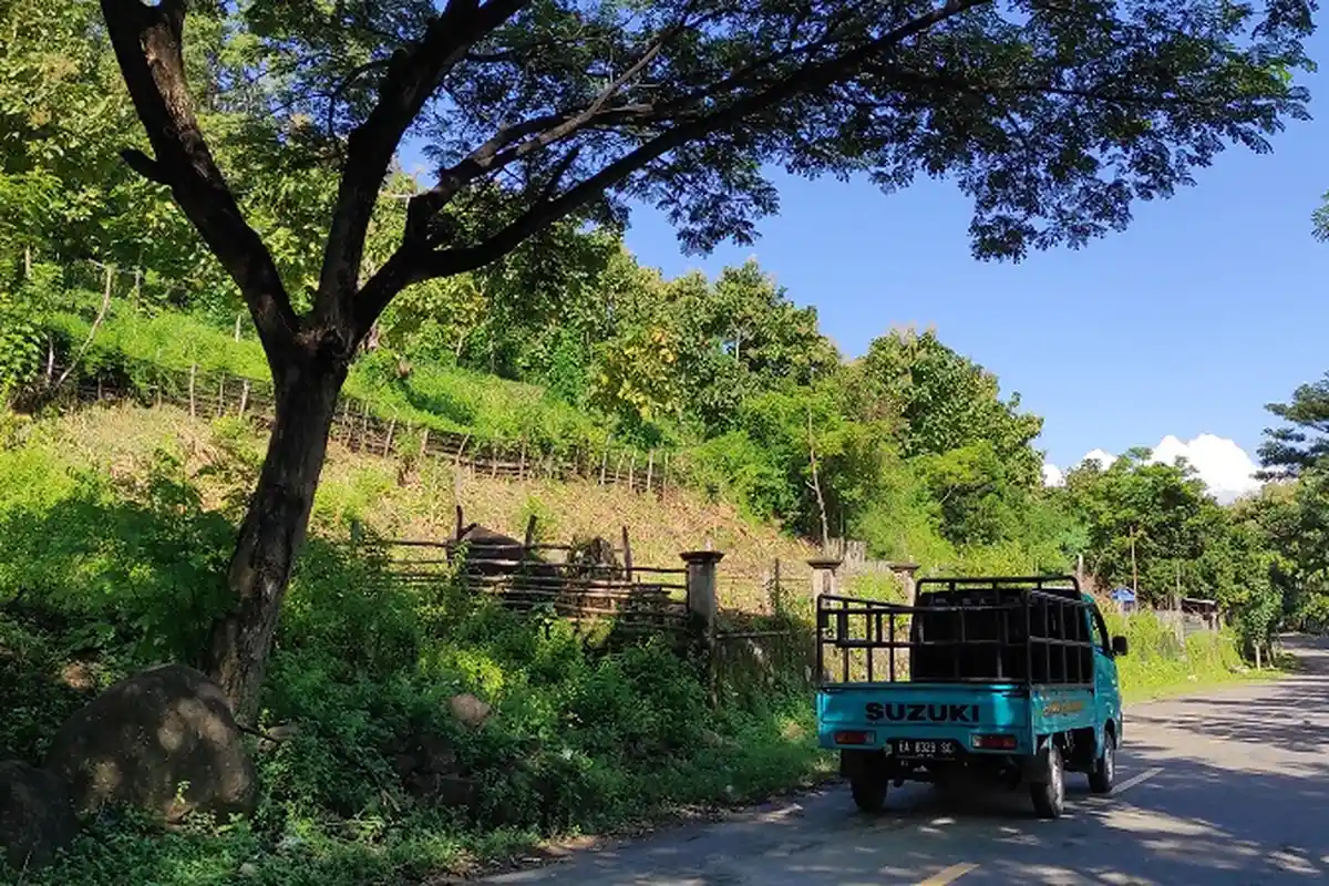 Ratusan Hektare Kawasan Hutan di Kota Bima Akan Dialihfungsikan untuk Pembangunan Kampus