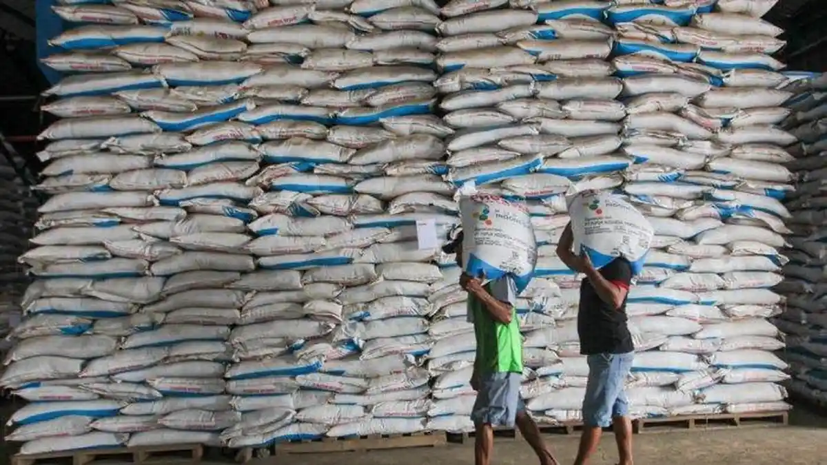 Petani Mengeluh ! Stok Pupuk Subsidi Kosong, Distribusi Terlambat